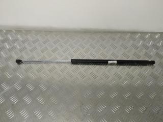 амортизатор крышки багажника (3-5 двери) Citroen Berlingo 1 поколение (M59) [рестайлинг] 2006, 1.9 л., D, WJY (DW8B), дизель, 5МКПП, blanc banquise / ewp, фургон, передний привод, правый руль, 9625574380