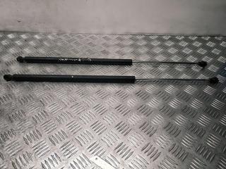 амортизатор крышки багажника (3-5 двери) Citroen Berlingo 1 поколение (M59) [рестайлинг] 2006, 1.9 л., D, WJY (DW8B), дизель, 5МКПП, blanc banquise / ewp, фургон, передний привод, правый руль