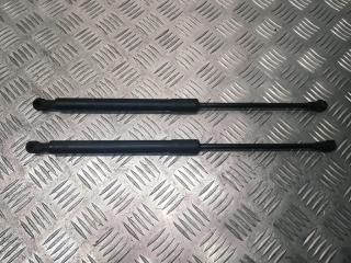 амортизатор капота BMW 3 серия E90/E91/E92/E93 E90 2006, 2.0 л., D, M47N 204 D5, дизель, 6МКПП, седан, задний привод, правый руль, 51237060550