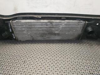 интеркулер Renault Trafic 2 поколение [рестайлинг] 2009, 2.0 л., DCi, M9R 786, дизель, 6МКПП, blanc casablanca / od31, микроавтобус, передний привод, правый руль, 8200411160