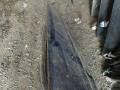 дверь передняя левая Mercedes-Benz C-Класс W203/S203/CL203 CL203 2002, 2.2 л., CDi, OM 611.962, дизель, 6МКПП, синий, хетчбэк 3 дв., задний привод, правый руль - фото №7