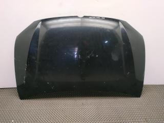 капот SsangYong Rodius 1 поколение 2005, 2.7 л., XDI, OM 665.926, дизель, АКПП, space black / lak, минивэн, задний привод, правый руль, 6101021001