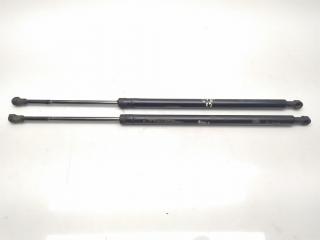 амортизатор крышки багажника (3-5 двери) BMW X5 E53 2003, 3.0 л., TD, M57 D30 (306D1), дизель, АКПП, titansilber / 354, внедорожник 5 дв., полный привод, правый руль, 51248402405