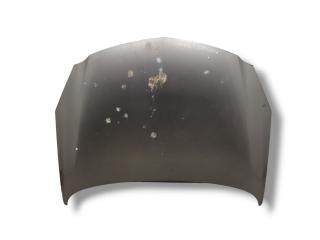 капот Opel Insignia 1 поколение (A) 2010, 2.0 л., CDTi, A 20 DTH, дизель, 6МКПП, silbersee / gev, хетчбэк 5 дв., передний привод, правый руль, 13276949