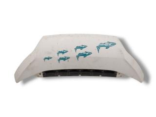 капот Fiat Ducato 3 поколение [рестайлинг] 2015, 2.3 л., JTD, F1AE3481G, дизель, 6МКПП, bianco ducato / 549, микроавтобус, передний привод, правый руль, 1380670080