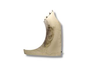 крыло переднее левое Renault Grand Scenic 3 поколение JZ 2011, 1.5 л., DCi, K9K 837, дизель, робот, beige poivre / ted11, минивэн, передний привод, правый руль, 631010188R