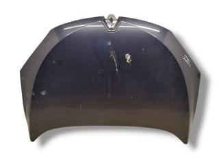 капот Renault Megane 3 поколение 2009, 1.9 л., DCi, F9Q 872, дизель, 6МКПП, gris eclipse / teb66, хетчбэк 5 дв., передний привод, правый руль, 651009018R