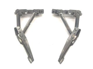 петля капота Opel Insignia 1 поколение (A) 2010, 2.0 л., CDTi, A 20 DTH, дизель, 6МКПП, серый, хетчбэк 5 дв., передний привод, правый руль, 13248766, 13248765