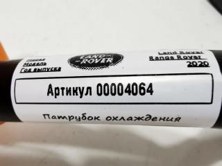 патрубок радиатора Land Rover Range Rover 4 поколение [рестайлинг] 2020, 3.0 л., дизель, АКПП, внедорожник 5 дв., JPLA8D093BB
