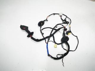 дверная проводка Hyundai Santa Fe 4 поколение 2020, 2.4 л., бензин, АКПП, внедорожник 5 дв.