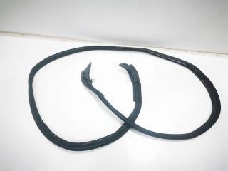 уплотнитель BMW 4 серия F32/F33/GT F36 [рестайлинг] 2018, 2.0 л., дизель, АКПП, 51787297090