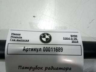 патрубок радиатора BMW 5 серия G30/G31 G30 2019, 2.0 л., дизель, АКПП, седан, 8596346