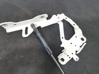 петля капота BMW 4 серия F32/F33/GT F36 [рестайлинг] 2018, 2.0 л., дизель, АКПП