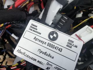проводка BMW 4 серия F32/F33/GT F36 [рестайлинг] 2020, 2.0 л., бензин, АКПП, хетчбэк 5 дв.