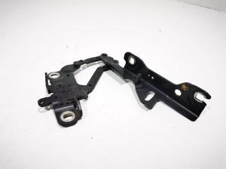 петля капота левая BMW 4 серия F32/F33/GT F36 [рестайлинг] 2020, 2.0 л., бензин, АКПП, хетчбэк 5 дв.