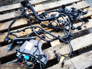 проводка двигателя BMW 5 серия F07/F10/F11 [рестайлинг] 2013, 2.0 л., дизель, АКПП, универсал