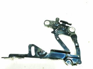 петля капота BMW 4 серия F32/F33/GT F36 [рестайлинг] 2019, 3.0 л., дизель, АКПП, хетчбэк 5 дв., 41617286343