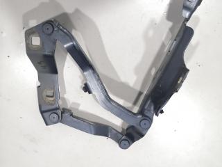 петля капота правая Land Rover Discovery 5 поколение 2020, 3.0 л., 306DT, дизель, АКПП, внедорожник 5 дв., HY3216800