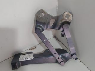 петля капота левая Land Rover Range Rover 4 поколение [рестайлинг] 2019, 3.0 л., дизель, АКПП, внедорожник 5 дв., JPLA16801AA