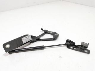 петля капота левая Land Rover Discovery Sport 1 поколение [рестайлинг] 2020, 2.0 л., 204DTD, дизель, АКПП, внедорожник 5 дв., FK7216801AE