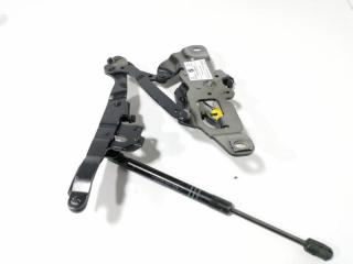 петля капота BMW 5 серия F07/F10/F11 [рестайлинг] 2013, 2.0 л., дизель, АКПП, универсал, 7249887