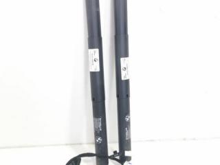 амортизатор крышки багажника (3-5 двери) BMW X5 F15 2018, 3.0 л., дизель, АКПП, внедорожник 5 дв., 51247434041