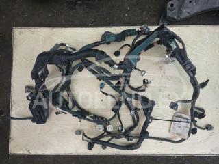 проводка Toyota RAV4 3 поколение (XA30) [2-й рестайлинг] 2011, 2.0 л., бензин, АКПП, минивэн
