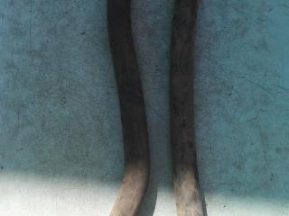 патрубок (трубопровод, шланг) Volkswagen Transporter T3 [рестайлинг] 1987, 1.6 л., дизель, МКПП, минивэн