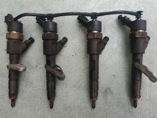 форсунка Renault Laguna 2 поколение 2004, 1.9 л., дизель, МКПП, хетчбэк 5 дв., 0445110110B