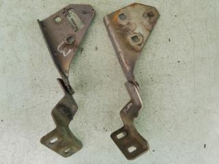 петля капота Renault Megane 2 поколение 2003, 1.5 л., дизель, МКПП, хетчбэк 5 дв.