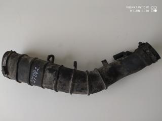 патрубок (трубопровод, шланг) Renault Megane 1 поколение 1998, 1.9 л., дизель, МКПП, хетчбэк 5 дв., 7700868473