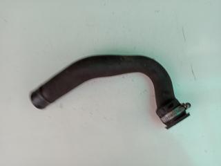 патрубок (трубопровод, шланг) Renault Megane 2 поколение 2002, 1.5 л., дизель, МКПП, хетчбэк 5 дв., 8200164148