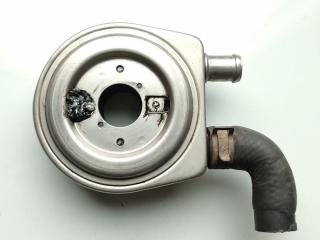 радиатор масляный Hyundai Tucson 1 поколение 2004, 2.0 л., D4EA, дизель, МКПП, внедорожник 5 дв.