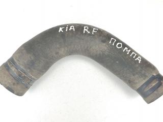 патрубок радиатора Kia Sportage 1 поколение 2000, 2.0 л., RF, дизель, МКПП