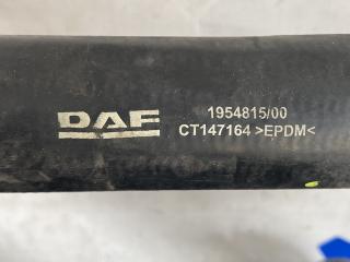 патрубок радиатора DAF 106 XF (2015 - 2026), 1954815