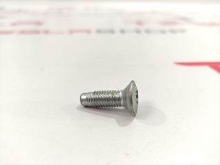 Болт петли замка двери Tesla Model S 1 поколение 2015, 2007217-00-B