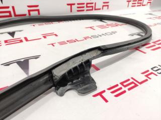 Уплотнитель проема дверного Tesla Model S 1 поколение 2016, 6009583-00-M, 6009583-00-N