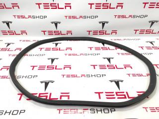 Уплотнитель бокса подкапотного резиновый Tesla Model S 1 поколение 2016, 6009581-00-C