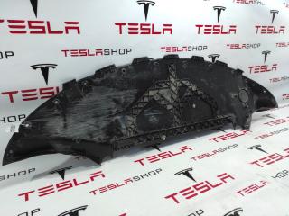 защита бампера (кенгурятник) Tesla Model 3 1 поколение 2019, 1084174-00-D