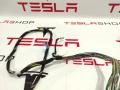 Электропроводка обшивки потолка Tesla Model S 1 поколение 2016, 1004556-01-H - фото №4