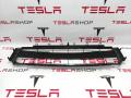 Решетка декоративная основного радиатора (передний бампер) Tesla Model S 1 поколение [рестайлинг] 2020, 1058022-00-B - фото №4
