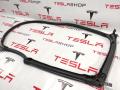 Уплотнитель проема дверного Tesla Model S 1 поколение 2015, 6009586-00-I - фото №4