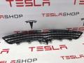 Решётка радиатора бампера переднего Tesla Model X 1 поколение 2017, 1050143-00-E - фото №4