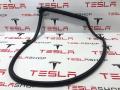 Уплотнитель проема дверного Tesla Model S 1 поколение 2013, 6009586-00-I - фото №3