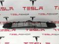 Решетка декоративная передняя (гриль) Tesla Model 3 1 поколение 2021, 1085927-00-C, 1082927-00-C - фото №5