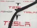 Уплотнитель проема дверного Tesla Model S 1 поколение 2015, 6009585-00-I - фото №2