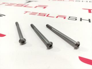 болт Tesla Model S 1 поколение [рестайлинг] 2017, 1009486-00-B, 1038521-99-F, 1063369-00-F, 1037854