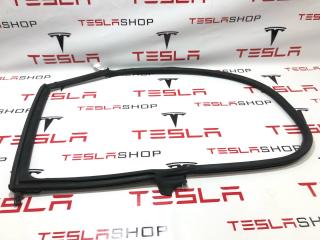 Уплотнитель проема дверного Tesla Model S 1 поколение [рестайлинг] 2018, 6009585-00-I