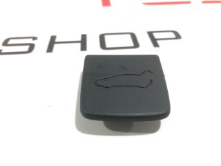Заглушка облицовки крышки багажника Tesla Model X 1 поколение 2019, 1053206-00-D
