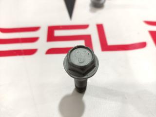 Болт ступицы Tesla Model S 1 поколение [2-й рестайлинг] 2022, 1027170-00-B, 2007066
